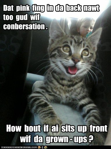 He's Not Much in the Way of Conversation... - Lolcats - lol | cat memes ...