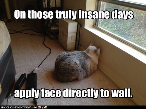 Wiff Lots ob Pressure! - Lolcats - lol | cat memes | funny cats | funny