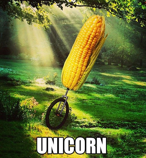 Puns - corn - Funny Puns - Pun Pictures - Cheezburger