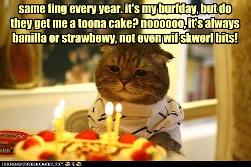 Happy Birthday to Me - Lolcats - lol | cat memes | funny cats | funny ...