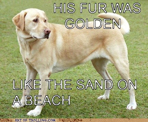 dating sites yahoo answers