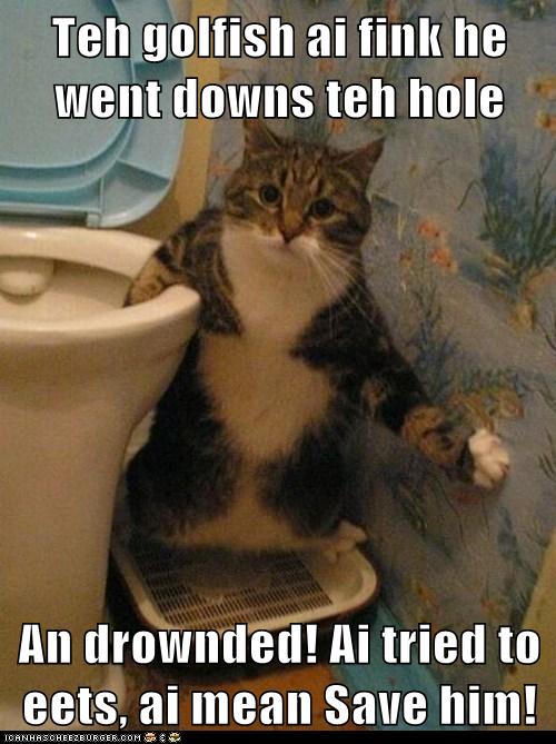 I'm Just Trying to Help - Lolcats - lol | cat memes | funny cats | funny cat pictures