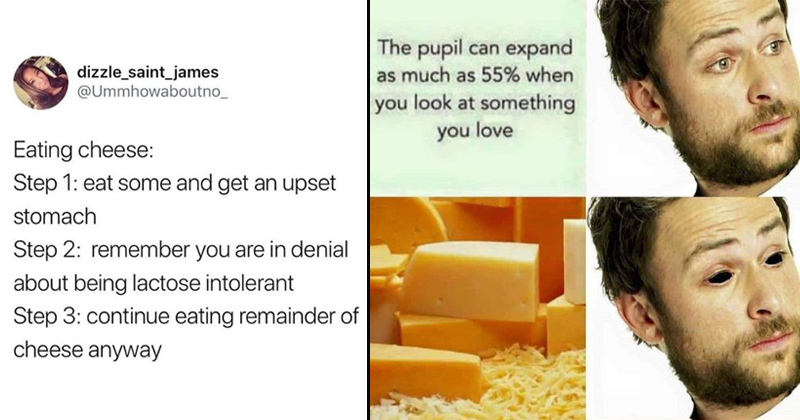 15 Stupid Cheese Memes That'll Give You A Gouda Havarti ...