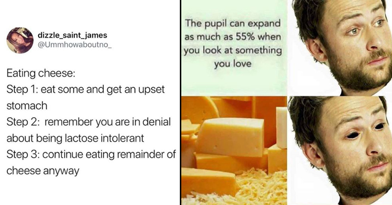 15 Stupid Cheese Memes Thatll Give You A Gouda Havarti Laugh - Memebase -  Funny Memes