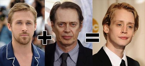 Totally Looks Like steve buscemi Cheezburger