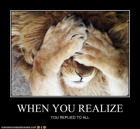funny facepalm animals lion cute reply cheezburger beautiful cats why safari wild baby district replying   lolcats