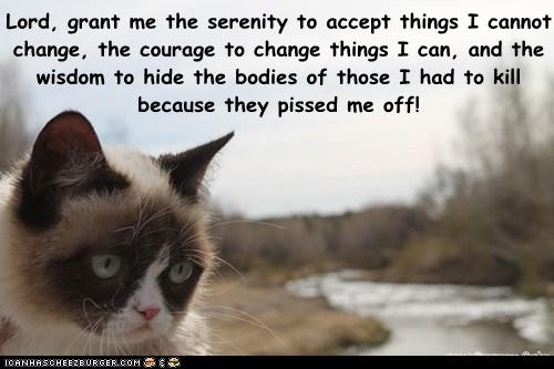 Lord, grant me the serenity to accept things I cannot ...