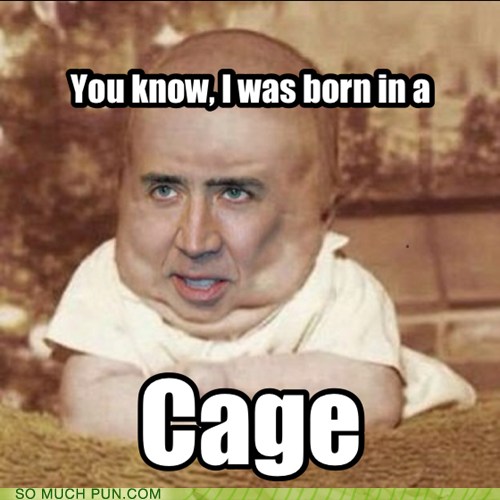 Puns baby Funny Puns Pun Pictures Cheezburger