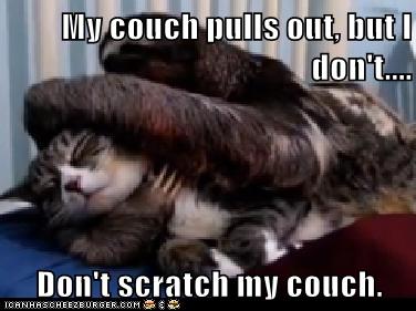 My Couch Pulls Out But I Don T Don T Scratch My Couch