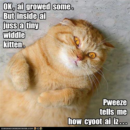 Sigh. A Lot of Us Can Relate - Lolcats - lol | cat memes | funny cats ...