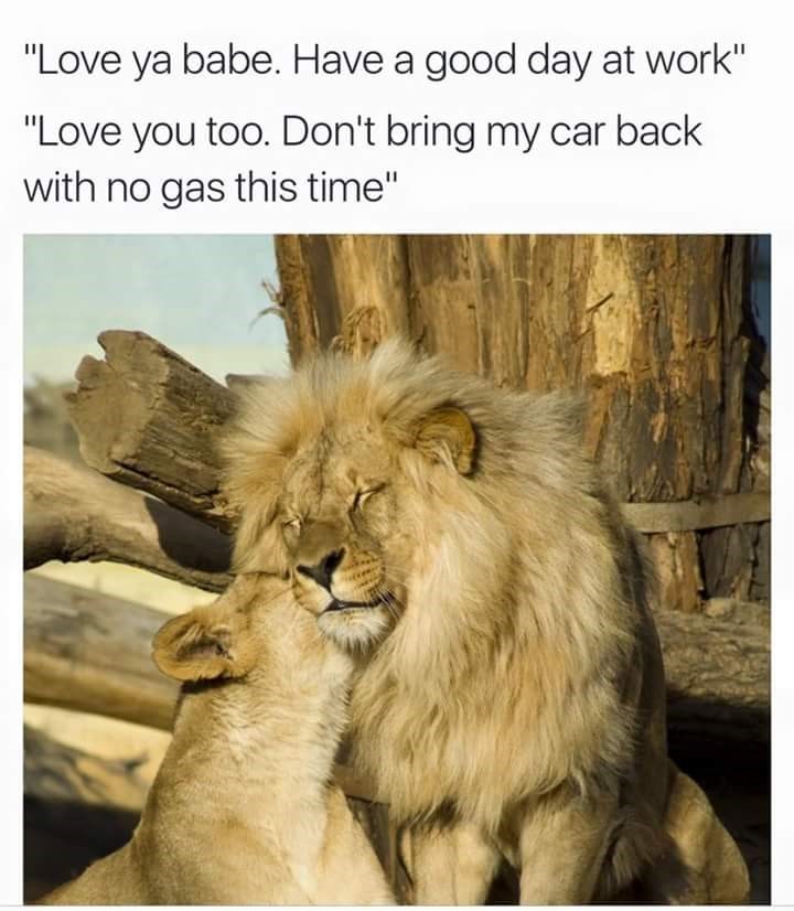 Memebase - lion king - Page 3 - All Your Memes In Our Base - Funny ...