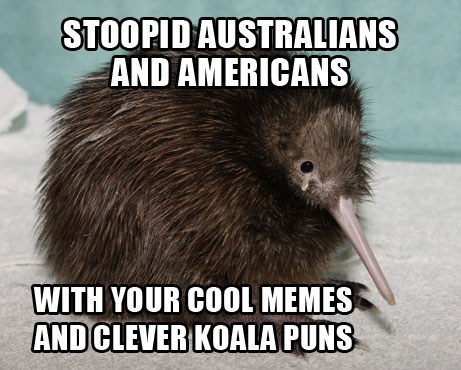 We Need More Kiwis - Animal Comedy - Animal Comedy, funny animals ...