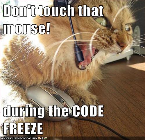 Code Freeze Meme