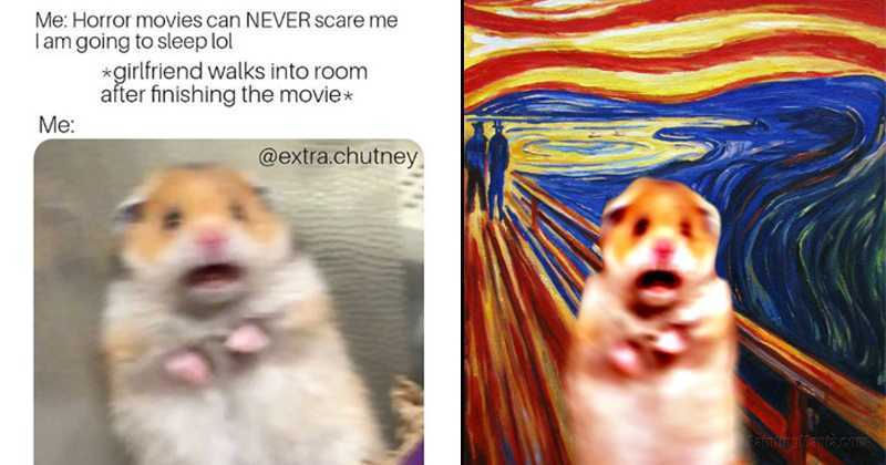 hamster scared