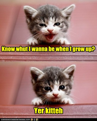 Okay Wif Me! - Lolcats - lol | cat memes | funny cats | funny cat ...