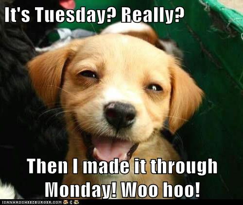 It's Tuesday? Really? Then I made it through Monday! Woo hoo ...