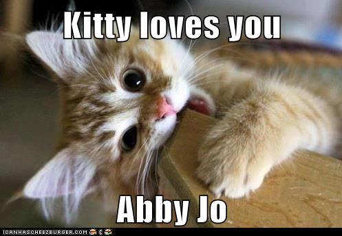 kitty loves