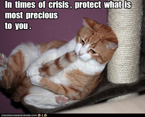 Be Vigilant! - Lolcats - lol | cat memes | funny cats | funny cat ...