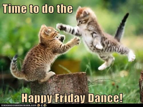 happy friday dance cat