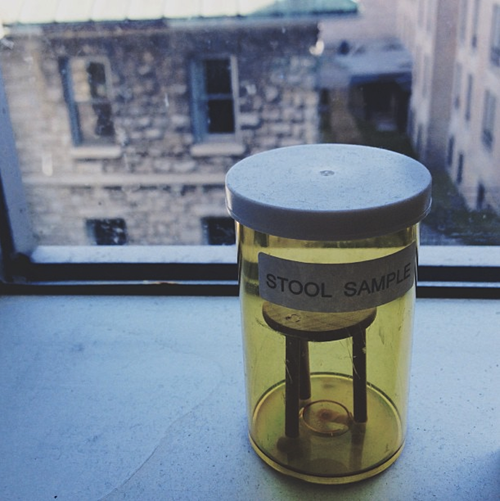 Puns stool sample Funny Puns Pun Pictures Cheezburger