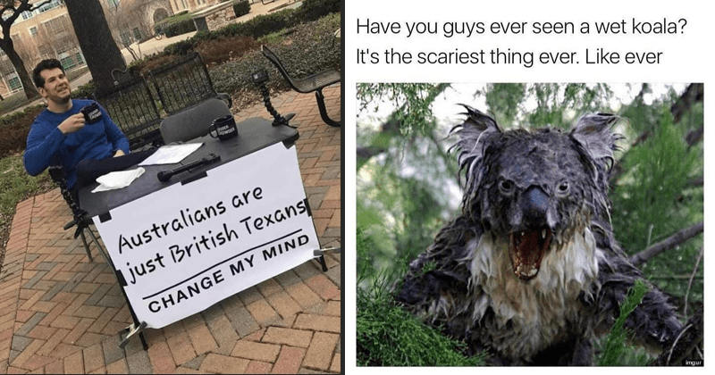 25 Aussie Memes For Your Down Under - Memebase Memes