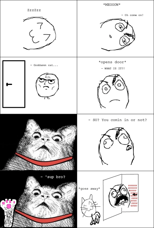 Make Up Your Mind! - Rage Comics - rage comics