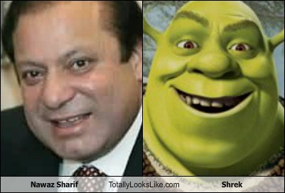 Nawaz Sharif Totally Looks Like Shrek - Totally Looks Like