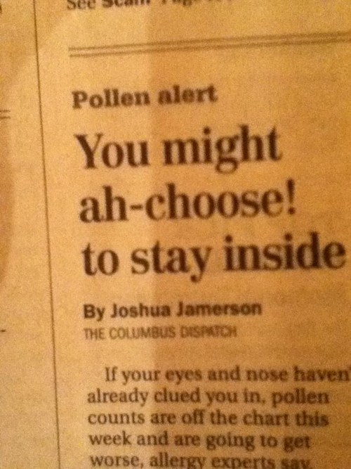 Puns headlines Funny Puns Pun Pictures Cheezburger