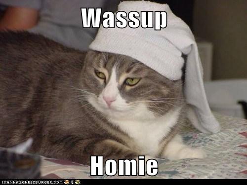 Wassup Homie - Cheezburger - Funny Memes | Funny Pictures