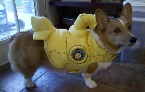 Dog submarine outlet costume