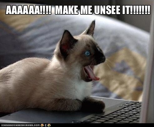 AAAAAA!!!!! - Lolcats - lol | cat memes | funny cats | funny cat ...