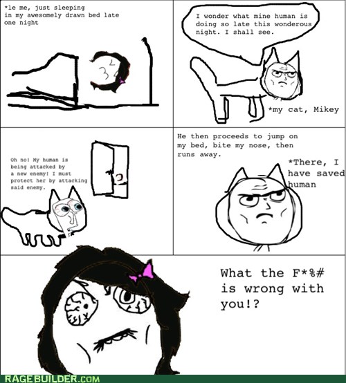 What Is Wrong With You, Kitty? - Rage Comics - Rage Comics