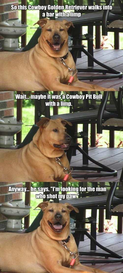 Bad Joke Dog I Has A Hotdog Dog Pictures Funny pictures of dogs