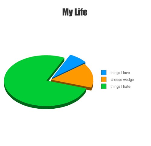 GraphJam - pie charts - Page 7 - funny graphs - Cheezburger