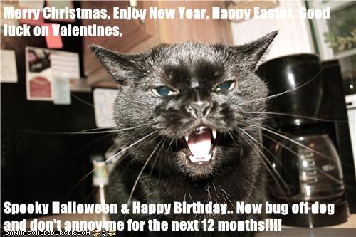 Merry Christmas Enjoy New Year Happy Easter Good Luck On Valentines Spooky Halloween Happy Birthday Now Bug Off Dog And Don T Annoy Me For The Next 12 Months Lolcats