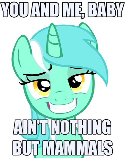 So Let