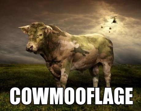 Cowmooflage clearance