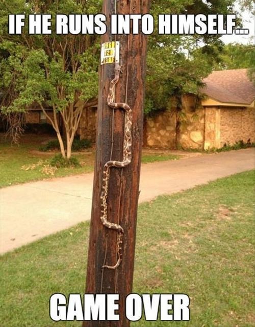 An IRL Game of Snake Memebase Funny Memes