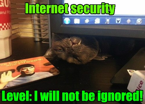 Internet security - Lolcats - lol | cat memes | funny cats | funny cat ...