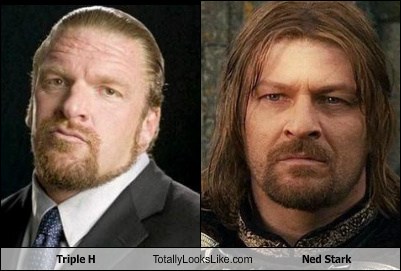 Do you guys realize Ned Stark and Triple H look alike??? IGN Boards