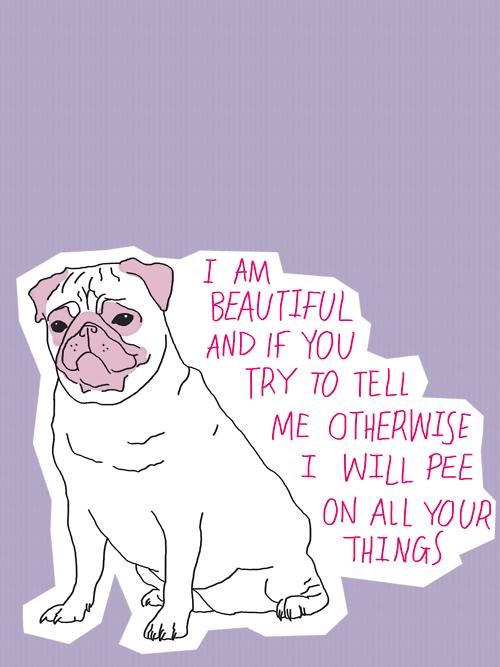 He's Got Attitude I Has A Hotdog Dog Pictures Funny pictures of