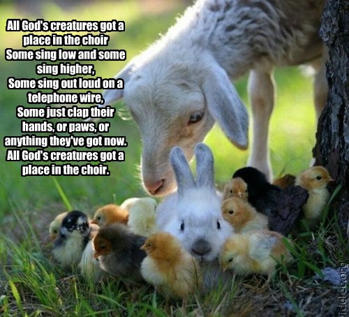 All God S Creatures Got A Place In The Choir Some Sing Low And Some Sing Higher Some Sing Out Loud On A Telephone Wire Some Just Clap Their Hands Or Paws Or