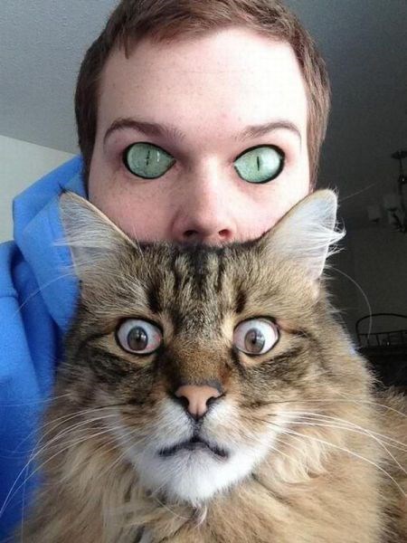 people who look like their cats