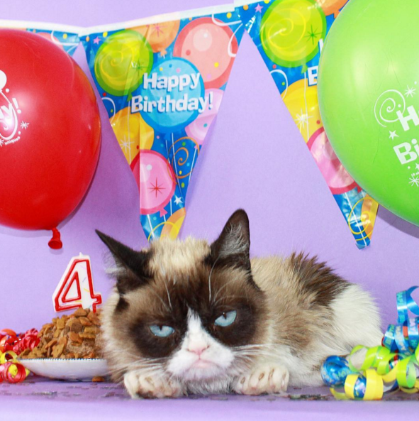 In Honor of Grumpy Cat's 4th Birthday Here's Some Stuff You Probably