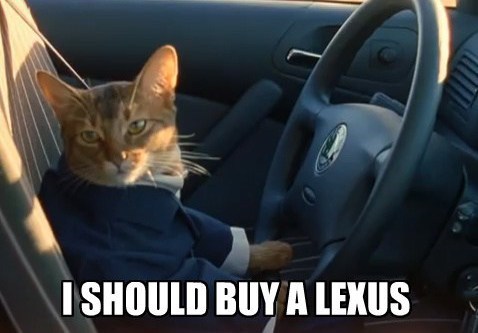 should i buy a cat s car