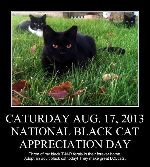 CATURDAY AUG. 17, 2013 NATIONAL BLACK CAT APPRECIATION DAY ...