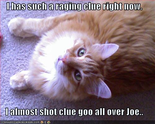 I Has Such A Raging Clue Right Now I Almost Shot Clue Goo All Over Joe Cheezburger Funny Memes Funny Pictures