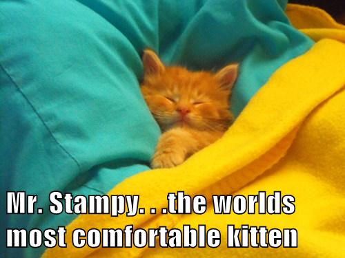 Most dating app used