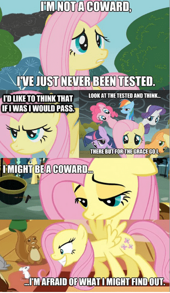 The Impression That I Get - My Little Brony - my little pony ...