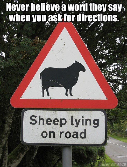 Puns - sheep - Funny Puns - Pun Pictures - Cheezburger